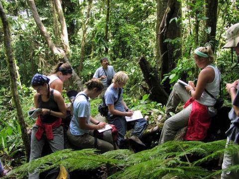 Students doing research in rainforest
