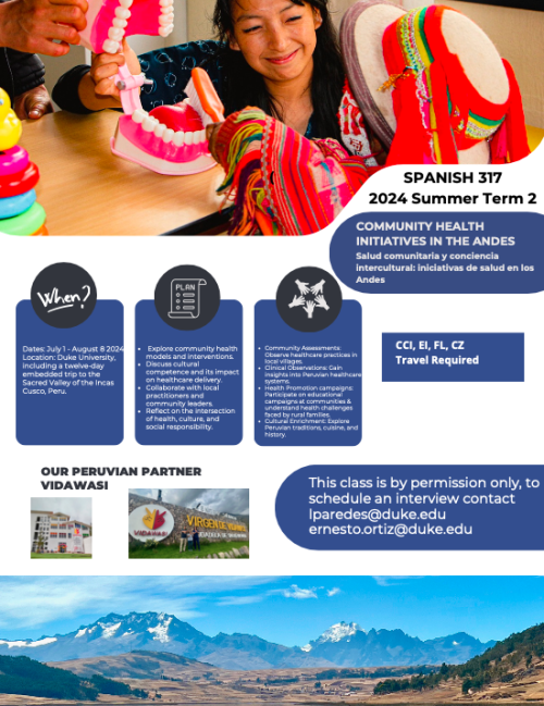 flyer for Spanish 317 course