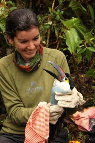Duke student with black-billed mountain toucan in Colombia